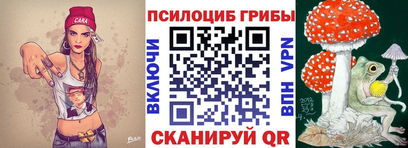 Псилоцибиновые грибы Psilocybe  shop Telegram  Лобня 