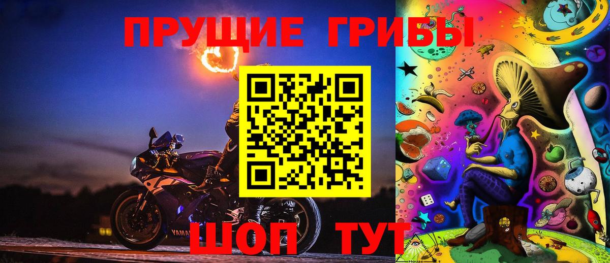 Псилоцибиновые грибы Psilocybine cubensis  Вход с VPN  Лобня 