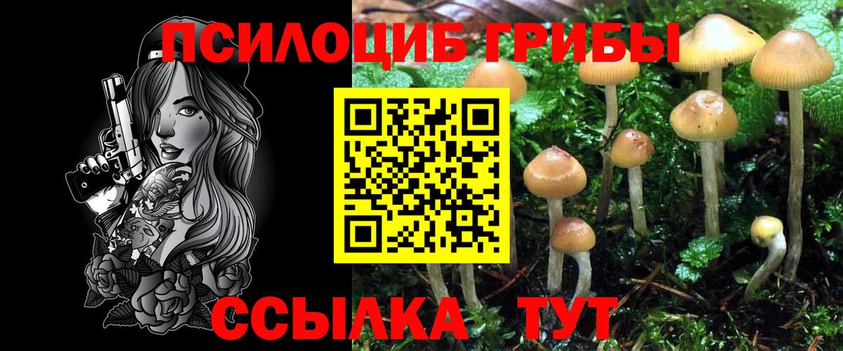 Галлюциногенные грибы ЛСД Лобня